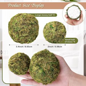Assorted Decorative Wicker Rattan and Moss Balls for Centerpiece Bowls - Image 3