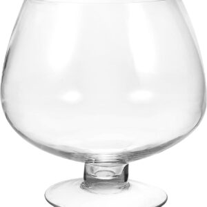 Clear Glass Pedestal Bowl Terrarium Vase