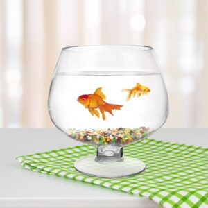 Clear Glass Pedestal Bowl Terrarium Vase - Image 5