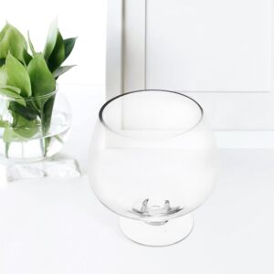 Clear Glass Pedestal Bowl Terrarium Vase - Image 7