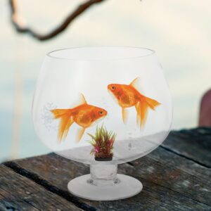 Clear Glass Pedestal Bowl Terrarium Vase - Image 9