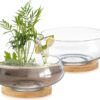 Two Clear Glass Round Planter Bowls with Wooden Trays