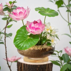 Two Clear Glass Round Planter Bowls with Wooden Trays - Image 2