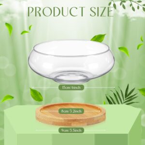 Two Clear Glass Round Planter Bowls with Wooden Trays - Image 3