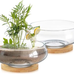 Two Clear Glass Round Planter Bowls with Wooden Trays