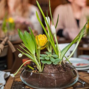 Two Clear Glass Round Planter Bowls with Wooden Trays - Image 4