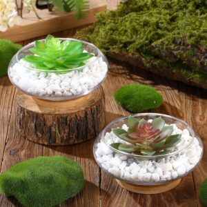 Two Clear Glass Round Planter Bowls with Wooden Trays - Image 6