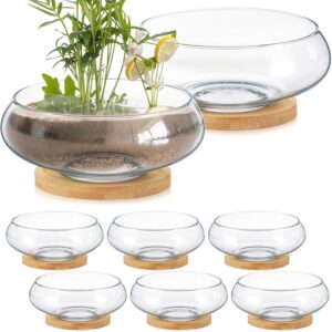 Two Clear Glass Round Planter Bowls with Wooden Trays - Image 7