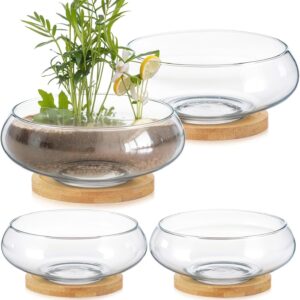 Two Clear Glass Round Planter Bowls with Wooden Trays - Image 8