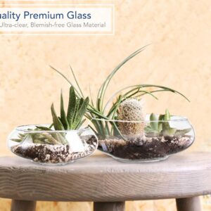 Clear Glass Round Terrarium Bowls Set of Two - Image 3