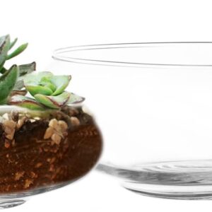 Clear Glass Round Terrarium Bowls Set of Two
