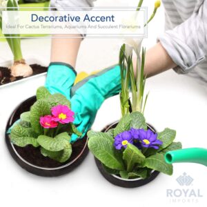 Clear Glass Round Terrarium Bowls Set of Two - Image 5