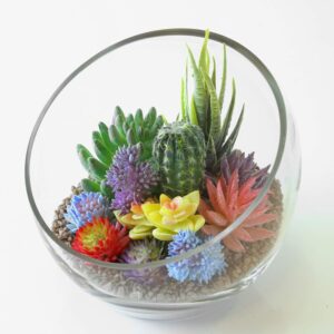 Clear Glass Slant Cut Bubble Bowl Terrarium - Image 3