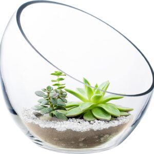 Clear Glass Slant Cut Bubble Bowl Terrarium