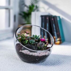 Clear Glass Slant Cut Bubble Bowl Terrarium - Image 5