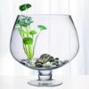 Clear Glass Wine Goblet Style Terrarium Bowl