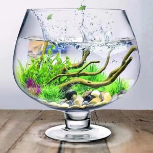 Clear Glass Wine Goblet Style Terrarium Bowl - Image 2