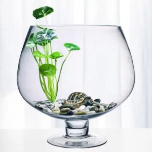 Clear Glass Wine Goblet Style Terrarium Bowl