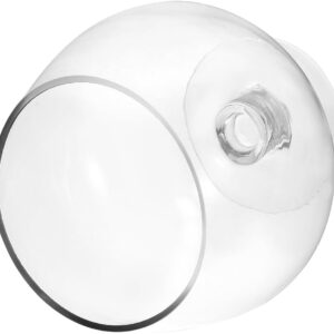 Clear Glass Wine Goblet Style Terrarium Bowl - Image 5