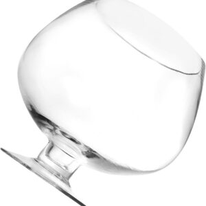 Clear Glass Wine Goblet Style Terrarium Bowl - Image 8
