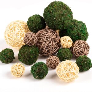 Assorted Natural Decorative Bowl Filler Orbs and Flowers - Image 11