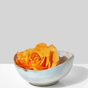 Rustic White Glazed Ceramic Decorative Bowl - Image 2