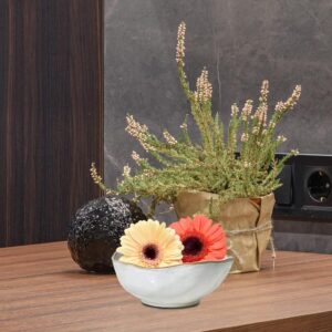 Rustic White Glazed Ceramic Decorative Bowl - Image 5
